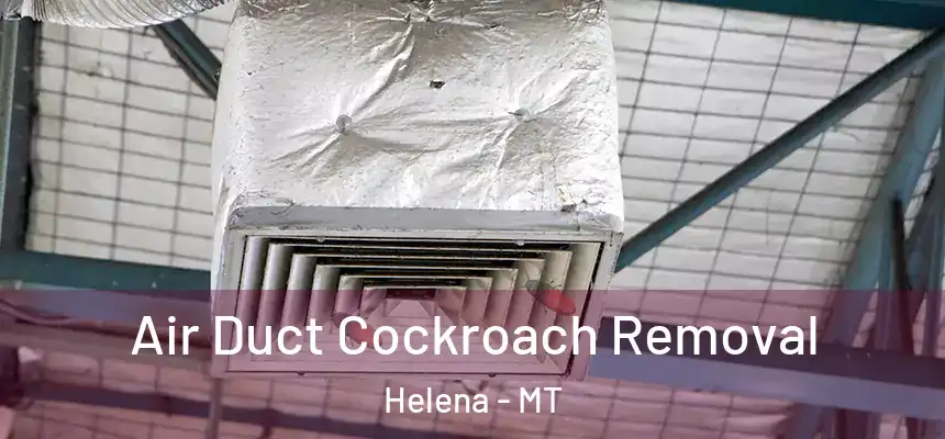  Air Duct Cockroach Removal Helena - MT