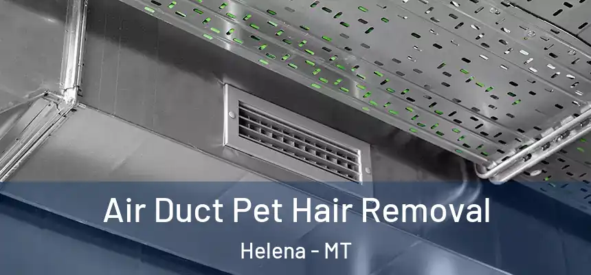  Air Duct Pet Hair Removal Helena - MT