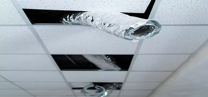 Our Air Duct Pet Hair Removal Services in Helena, MT