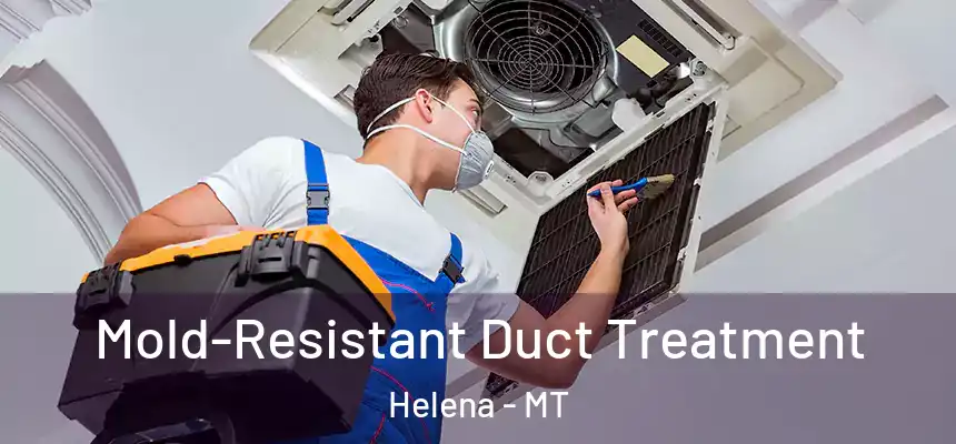  Mold-Resistant Duct Treatment Helena - MT