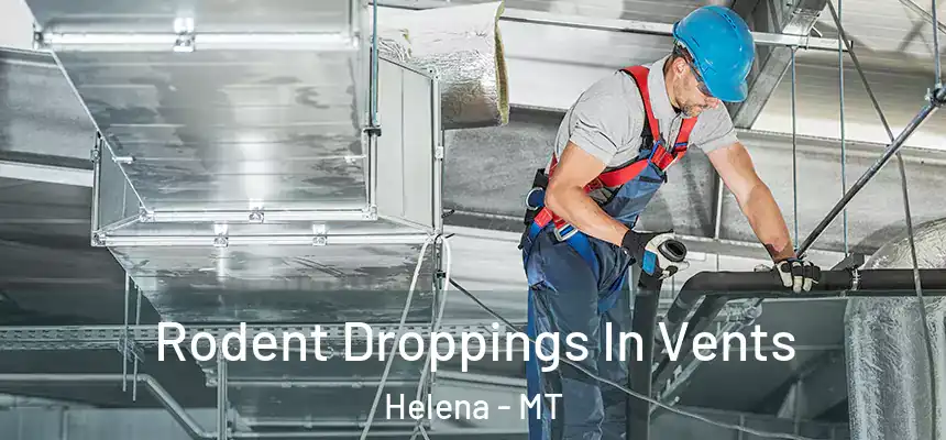  Rodent Droppings In Vents Helena - MT