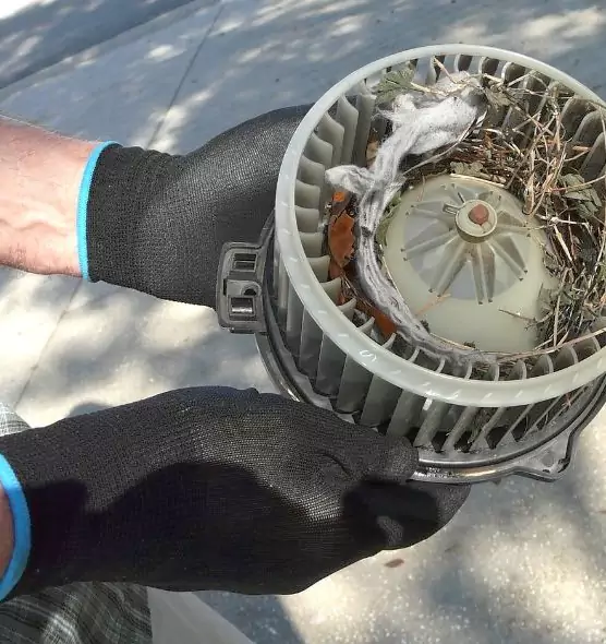 About Air Duct Rat Removal in Helena, MT