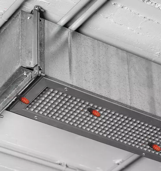 Affordable Insect Removal from Air Ducts in Helena, MT