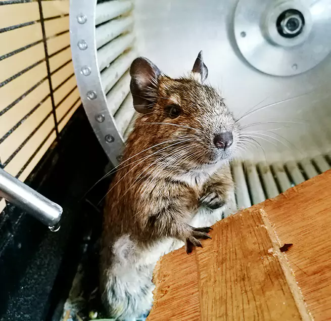 Why Homeowners & Businesses Trust Us Helena, MT